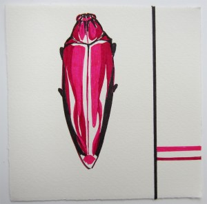 Day 19: Beetle Love Red Detail