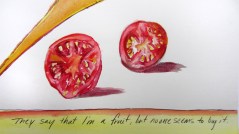 Day 25: They Say I'm a Fruit Detail 1