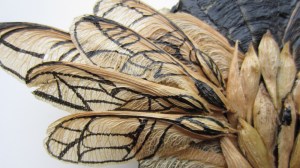 Day 36: Winged Left Wing