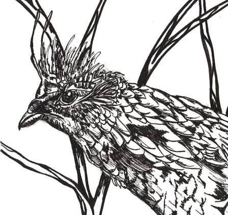 Day 60 Bird and Nest Head Detail