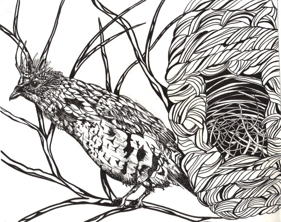 Day 60: Bird and Nest Day 60 6/28/12): Bird and Nest