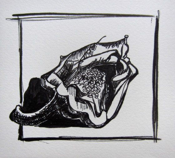 Day 92 (7/29/12): Bell Pepper Innards