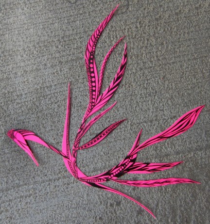 Day 108 (8/15/12): Not a Hoarder