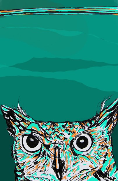 Day 165 (10/10/12): Owl Green Blue Green and Orange Brown