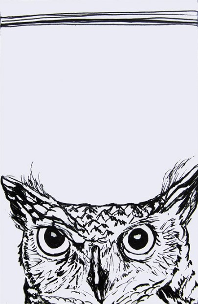 Day 165 (10/10/12): Owl