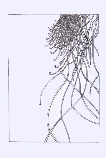 Day 175 (10/20/12):Organized Chaos