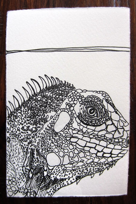 Day 183: Long Live the Lizard