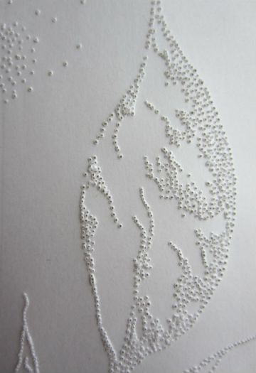 Day 237 Leafs via Pinholes Detail 2