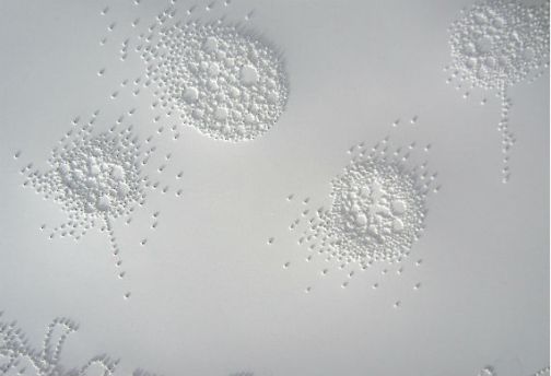 Day 261 Cell Details