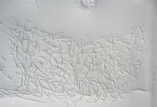 Day 2651 Nest Detail