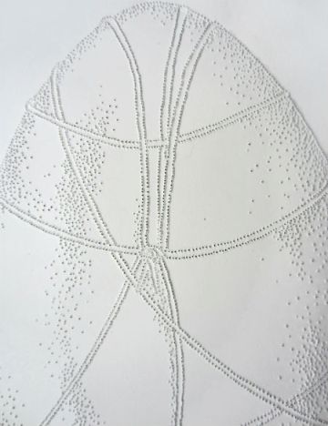 Day 283 Roped Egg Detail