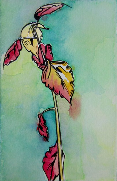 Day 302 ~3 x 5" ink and watercolor on paper