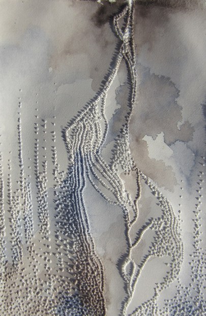 Image taken in the sunlight