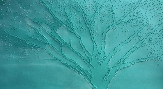 Day 313 Drifted Tree