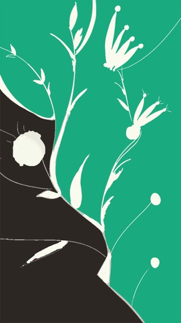 Day 322 Underbrushi in Negative