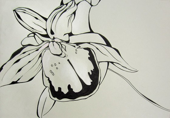 Day 325, 8 x 10" ink and watercolor on paper