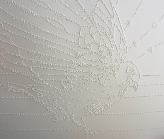 Day 334 Cliff Swallow detail