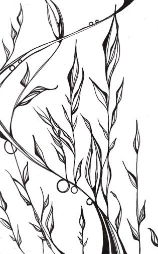 Original, un-Photoshopped version.