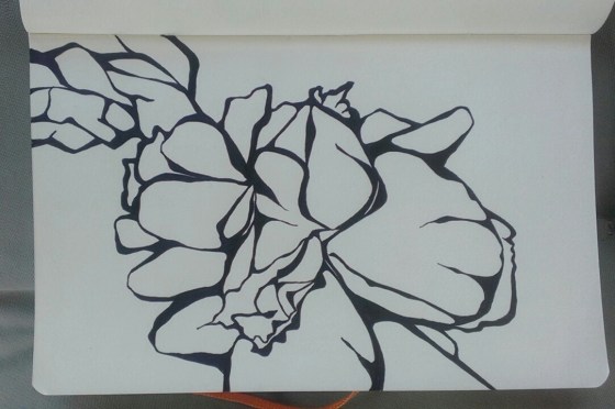 sketchbook flower