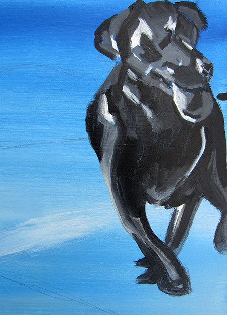 Jluy 9 2013 Dog close up in progress