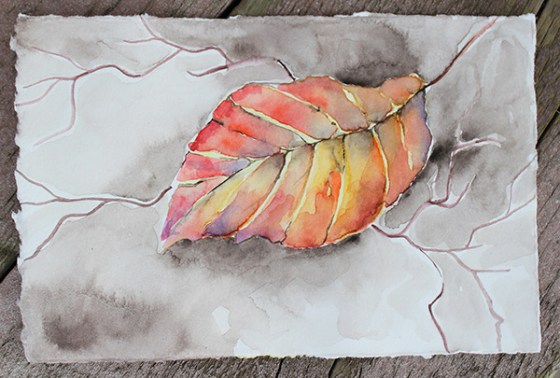 fall leaf