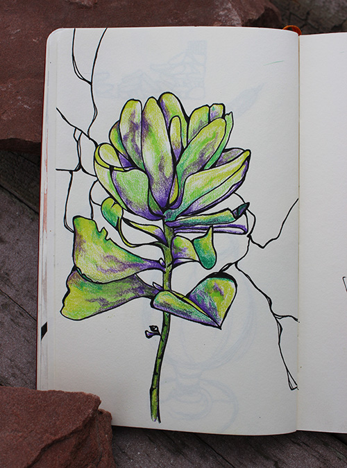 Ink and colored pencil