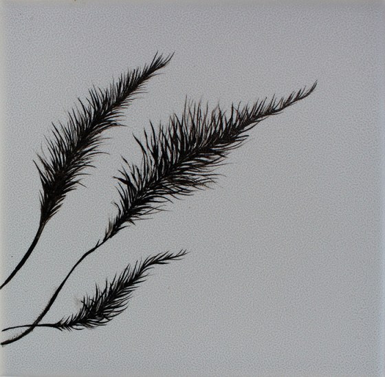 6 x 6" Tile paint on tile