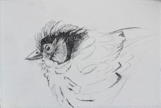 3.25 x 5.25" Pencil on paper