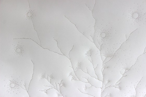 Centgered buds detail 3