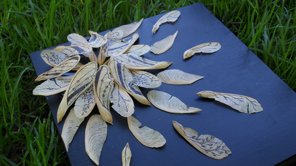 Day 10: Leaves/Seeds Detail 1