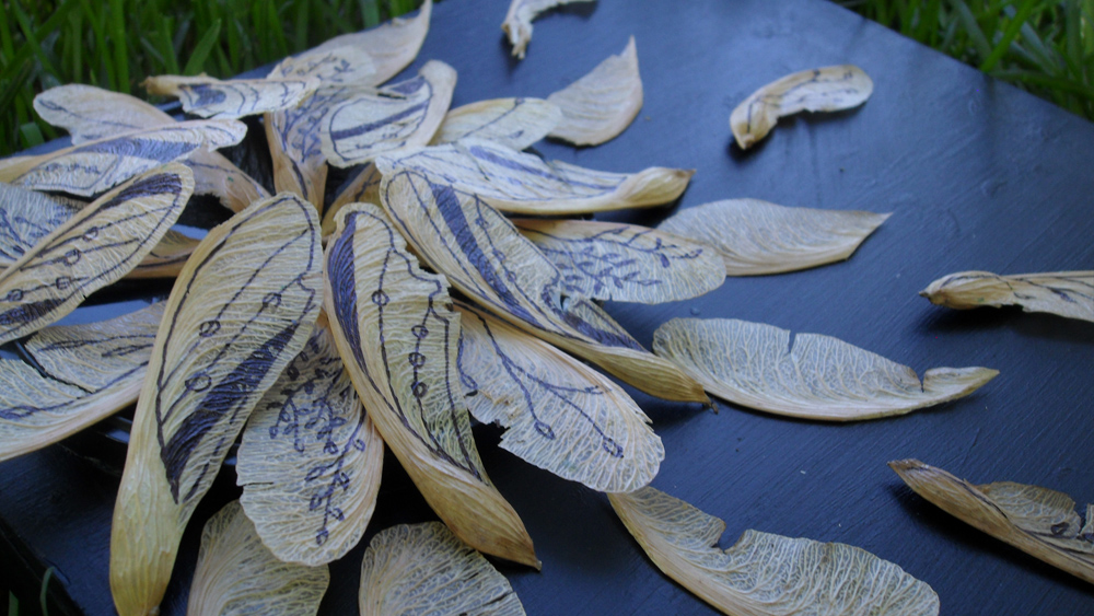 Day 10: Leaves/Seeds Detail 2