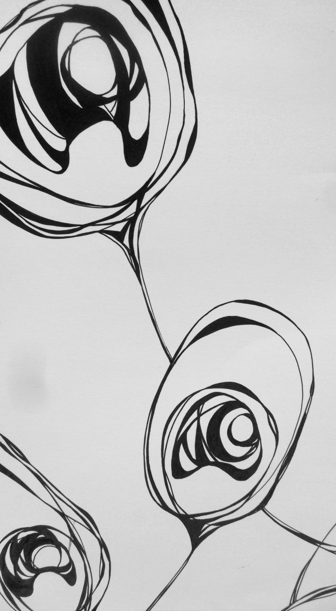 Day 11: Peacock Fether Detail