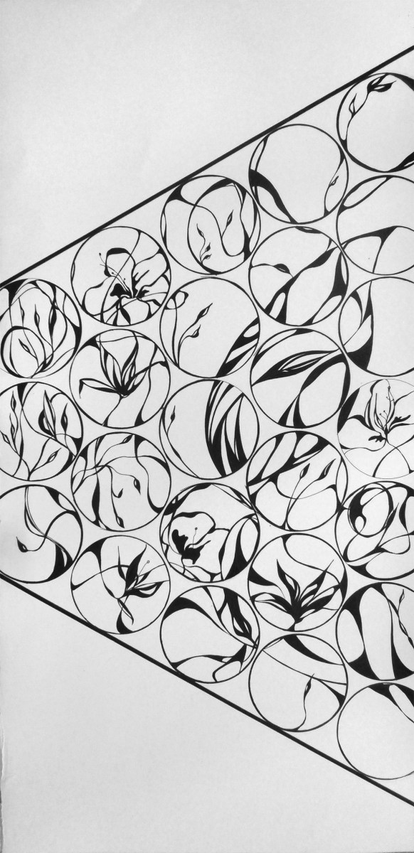 Day 16: Cellular Kaleidoscope