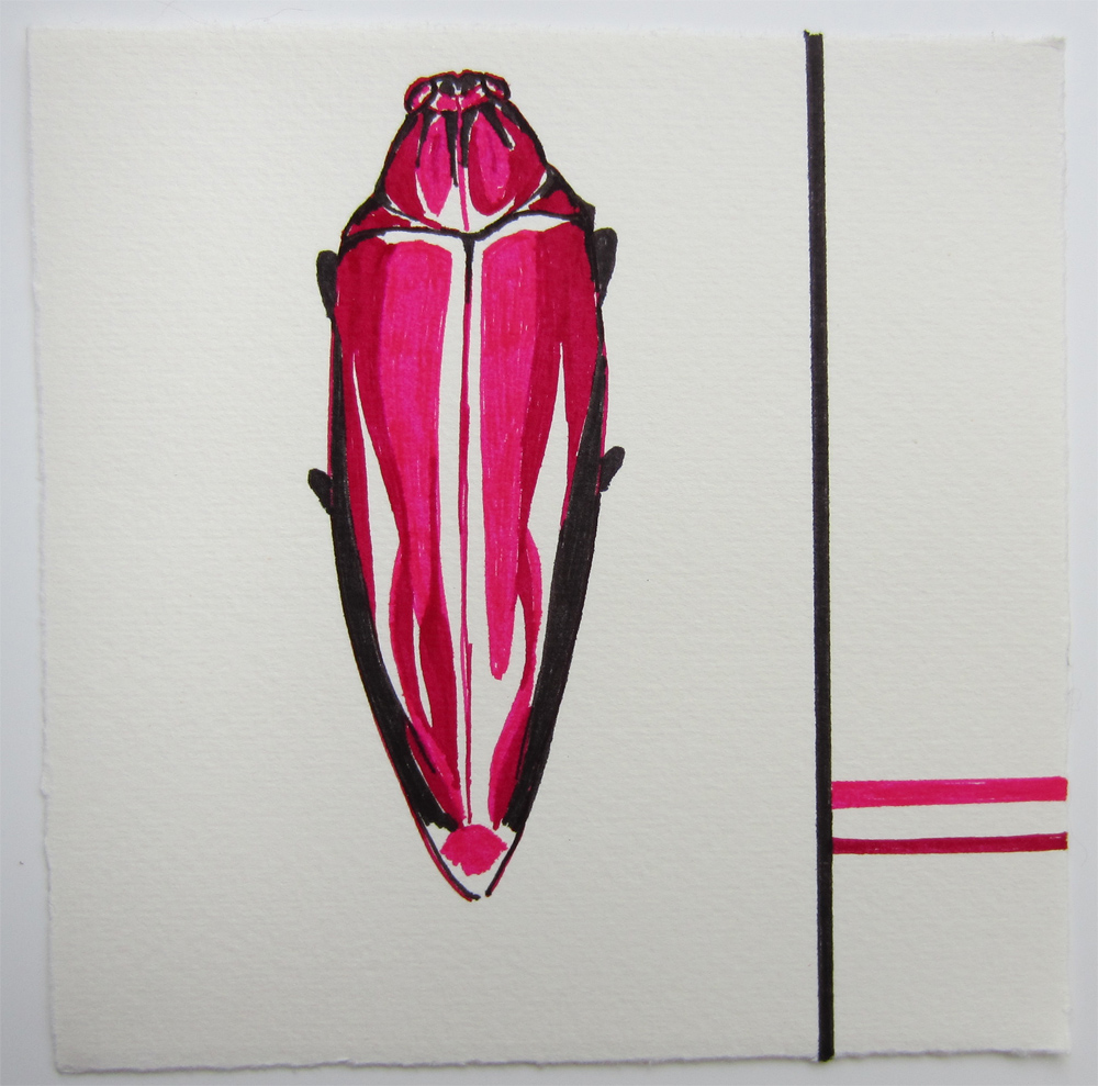 Day 19: Beetle Love Red Detail