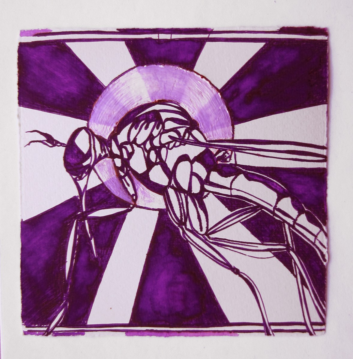 Day 32 (5/20/12): Mosquito