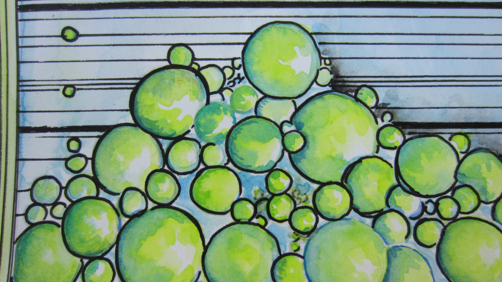 The Meaning of Bubbles Bubble detail