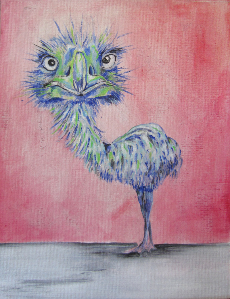 Day 72 (7/9/12): Emu