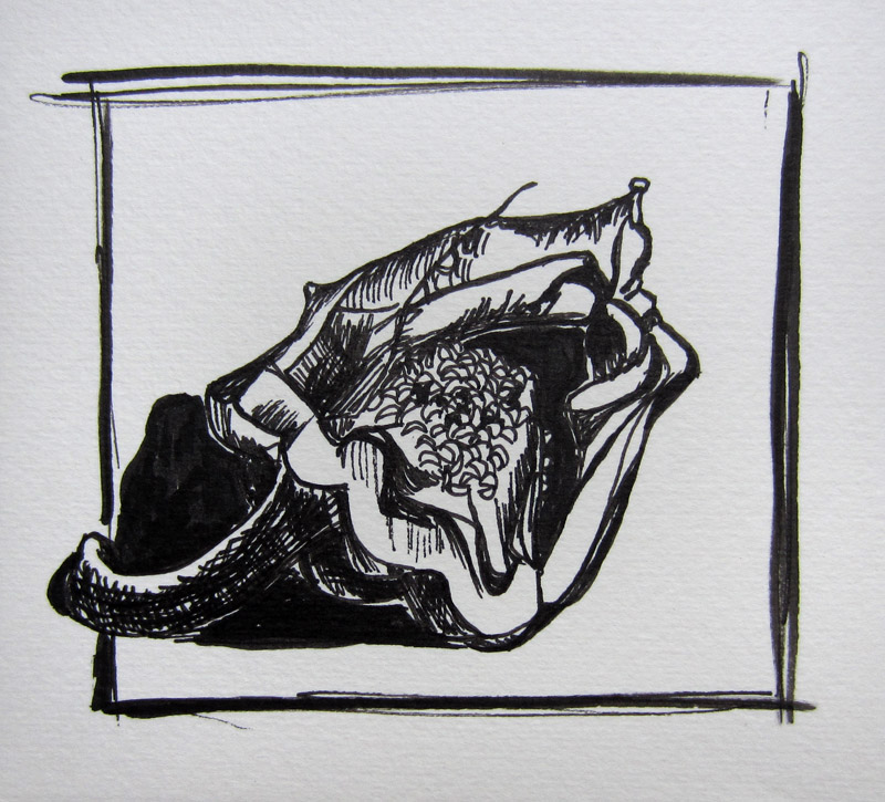 Day 92 (7/29/12): Bell Pepper Innards