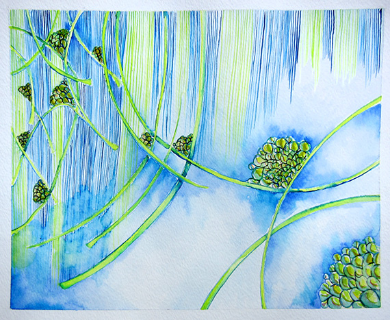 Day 139 (9/14/12): Rain in Blue and Green