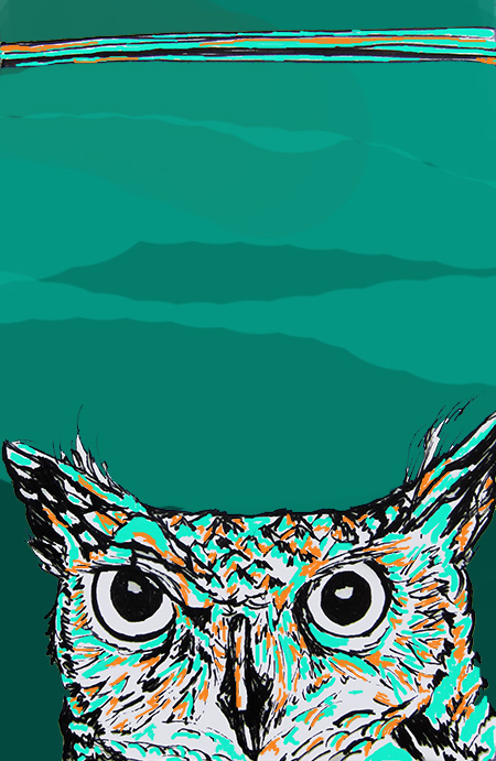 Day 165 (10/10/12): Owl Green Blue Green and Orange Brown
