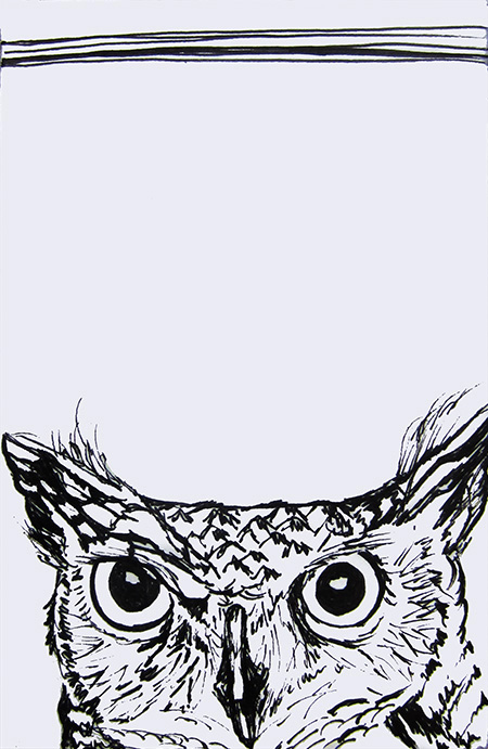Day 165 (10/10/12): Owl