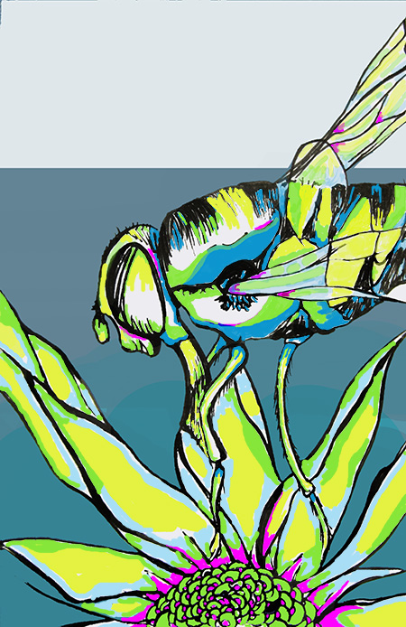 Day 168 (10/13/12): Stinger